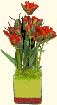 Flower Designs: Modern Arrangement of Tulips